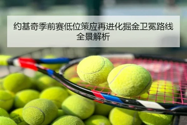 约基奇季前赛低位策应再进化掘金卫冕路线全景解析
