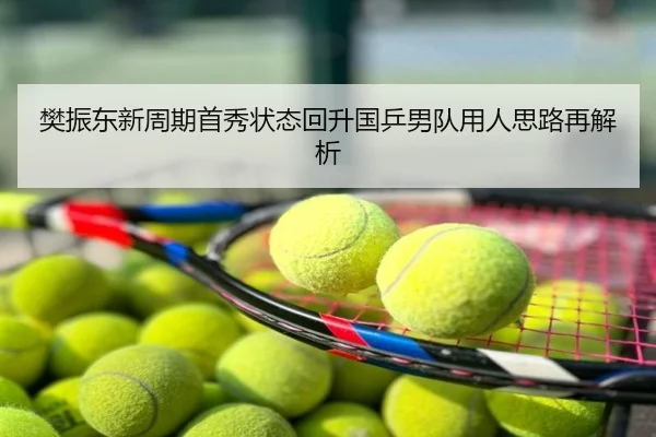 樊振东新周期首秀状态回升国乒男队用人思路再解析