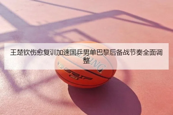 王楚钦伤愈复训加速国乒男单巴黎后备战节奏全面调整